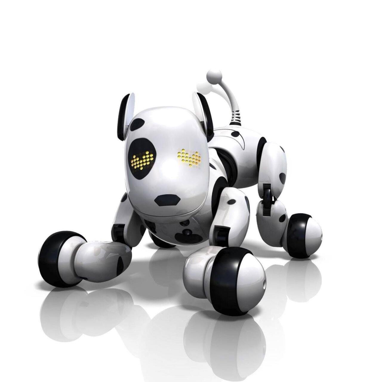 PERRO ROBOT - Producto de alta calidad para tu hogar